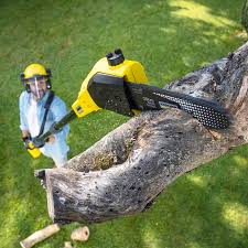 Best Lawn Disease Treatment  in Rockwell, AR